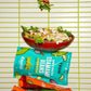 Only Snacks Roasted Edamame Bean - 113g